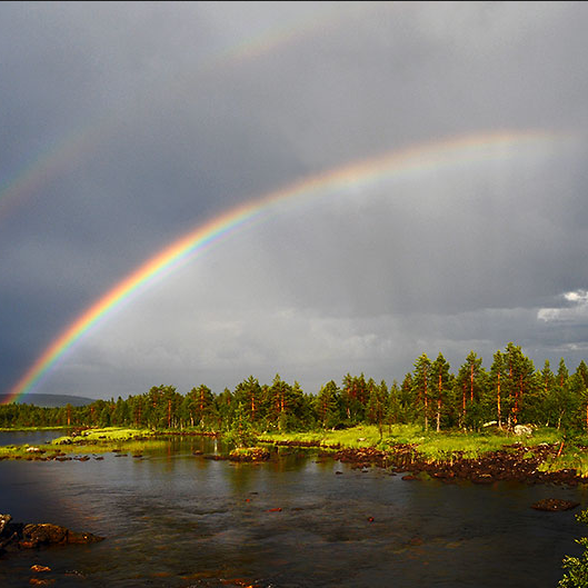 okaygo12's profile picture. 