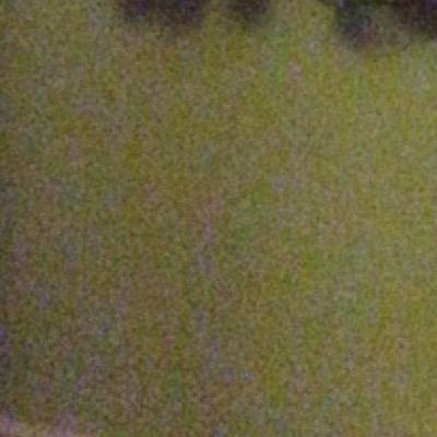 Go follow @PollyGreen_ or i unfollow