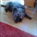 Valerie Burrows - @f8b39b7a000643f - Twitter