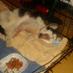 VinceTheturnpkCat (@vincedatrnpkcat) Twitter profile photo