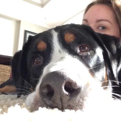 nomadiclifer's profile picture. 