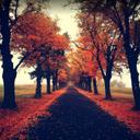 dulce jacome - @dulcejacomemar1 - Twitter