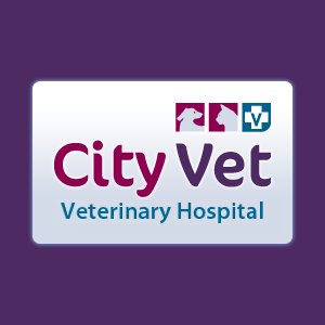 City Vet is Limerick's leading veterinary hospital providing a distinctly professional health care service for your pet for life.