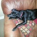 Eric Voight - @genEric122 - Twitter