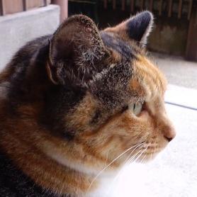 のほほ〜ん (ー▽ー*)
