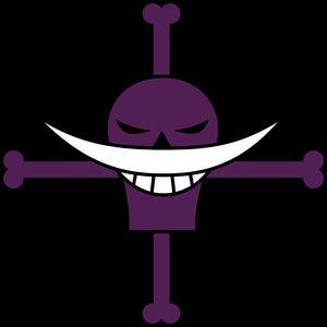 Un gran pirata apasionado por el mundo pokemon,VGC15