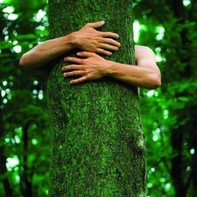 treeloverrz's profile picture. 