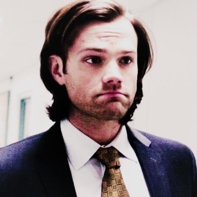 pornchester's profile picture. ⠀⠀⠀⠀⠀supernatural & ariana grande ⠀⠀⠀⠀⠀⠀ ⠀⠀⠀⠀⠀⠀ saved acc by @bocastiel