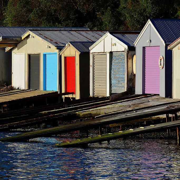 Writer behind the blog Cognitive Boatsheds. A journey with a kiwi mind and heart… with a focus on mental and physical health.