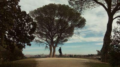 quasar1314's profile picture. 