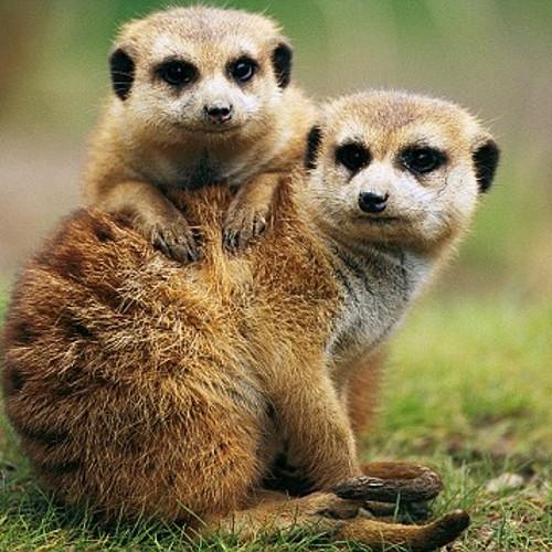 jillh600's profile picture. MotoGP fan, Rugby, Cricket.