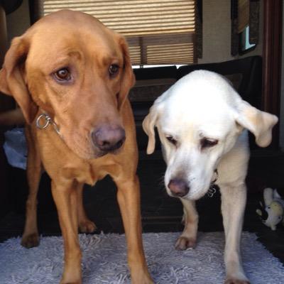 Amberwilly's profile picture. 