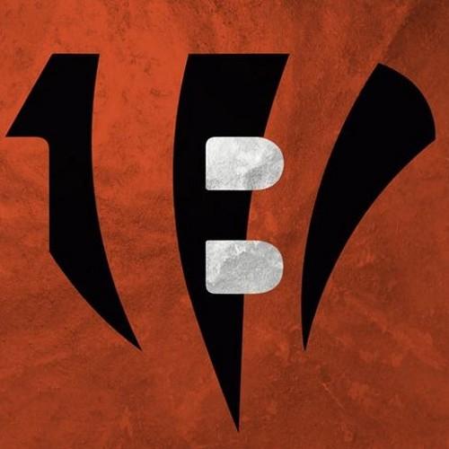 Cincinnati Bengals!