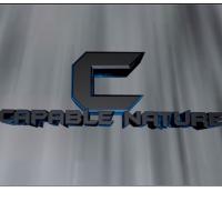WTPGaming YT (@capable_nature) 's Twitter Profile