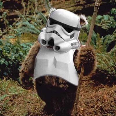 fusebox68's profile picture. Live male specimen of 'Normal for Norfolk'. DB Dev / DBA in daytime. Known for affinity with squirrels. Loves SciFi, pets & lady wife. Suspect taste in cars.