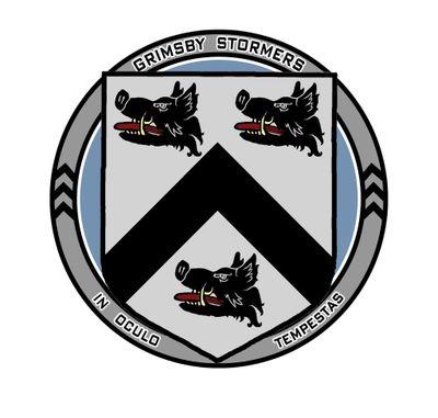 GrimsbyStormers's profile picture. We are a mixed ability recreational ice hockey team based in Grimsby, UK.