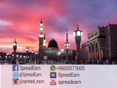 SpreadEarn Profile Picture