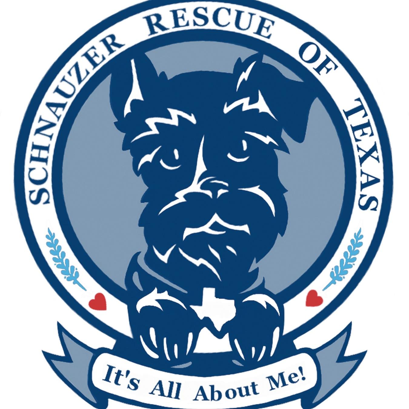 Schnauzer Rescue of Texas is a 501c3 non-profit organization dedicated to finding loving homes for lost, abandoned or neglected Schnauzers. It's All About ME!