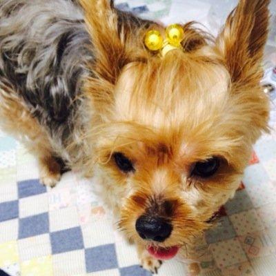 マギー可愛すぎ。 マギー神。