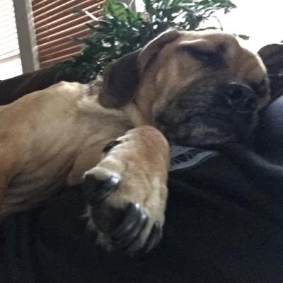 jerryligorotis's profile picture. 