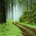 Levi Wyatt - @LeviWyatt13 - Twitter