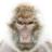 nivlakduslip's profile image