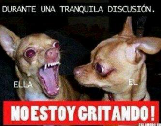 papadetodo's profile picture. 