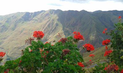 Todo esta en la mente. En lo que piensas te conviertes.
The mind is everything. What you think you become. – Budha