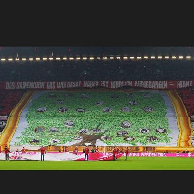 MaXFCB1900's profile picture. Südkurve München 1972 27.2.1900