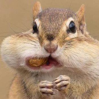 TsccJohn's profile picture. 