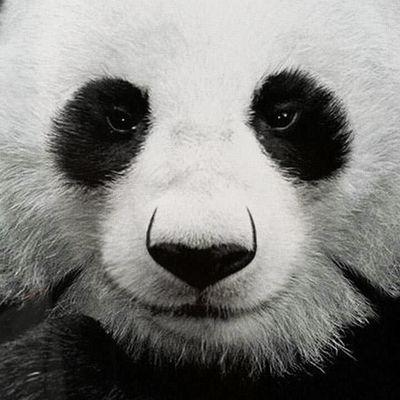 LSwaggii's profile picture. sur ce compte y aura de tout pour l'instant je suis nouvelle