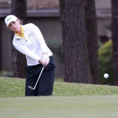 KPO113's profile picture. 