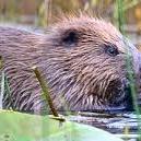 europeeace2's profile picture. european police ethics efficiency and community engagement