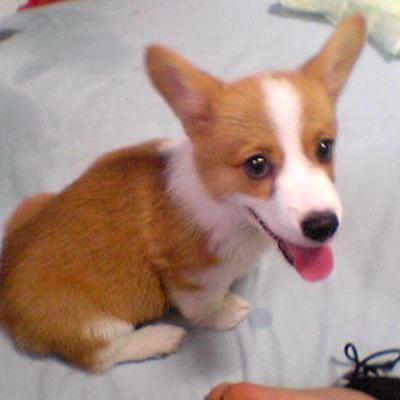 尾崎恵子 Ein0507 Twitter 尾崎恵子 Ein0507 Twitter