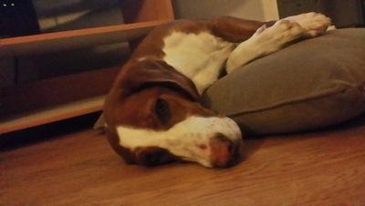 VilmerPlayer's profile picture. 