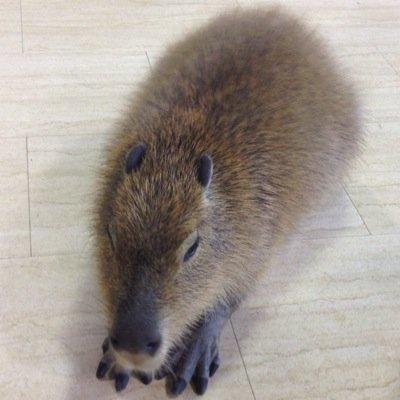 漬物ぼりぼりぼりぼりぼりぼりぼりぼりぼり