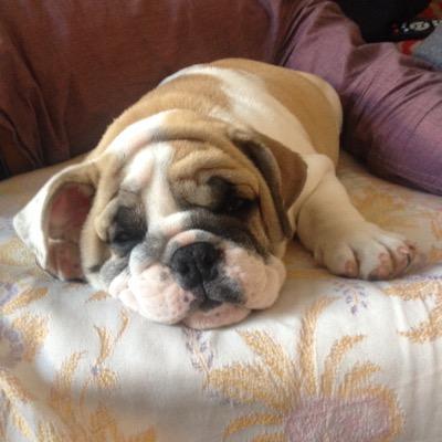 Ruy. Hay más tiempo que vida. Me cansé de ella y nunca se lo dije. No voy a donde no me invitan. ¿Eres priista? No me sigas, por favor.