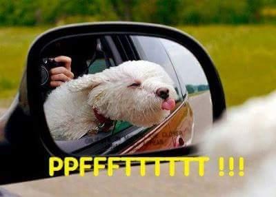 Rehnea13's profile picture. 