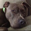 Matthew Mummert - @DoSmayjay70 - Twitter