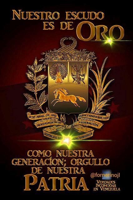 Defendiendo el legado de Chavez participando como herramienta humana de nuestra  Revolución y dando aportes e ideas a un Proyecto de país inspirada en Bolivar