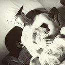 jeferson (@58_jeferson) Twitter