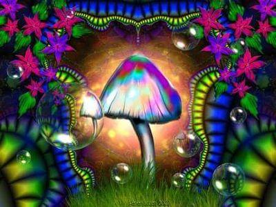 FREE SPIRIT/ HIPPIE LIFE   TOM PETTY,JANIS JOPLIN,NEW YORK YANKEES ,OKC 405 love those guys!