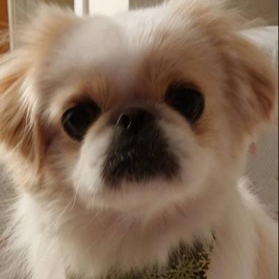 ericg975's profile picture. Teacher in Newport News, husband to Renisha, all around good guy :)