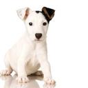 william coba juez - @willcob75 - Twitter