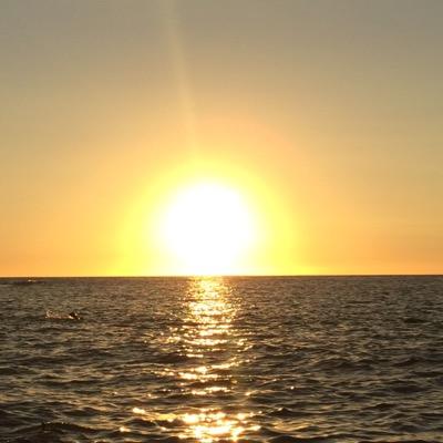 g_lexib's profile picture. 