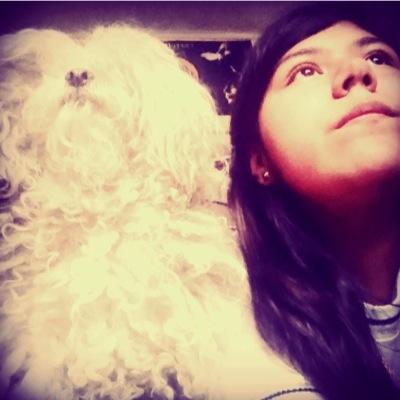 soy un lino french poodle Me gusta jugar con las pelotas y molestar a mi primo Hanz