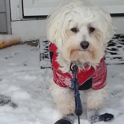 crshaw3's profile picture. 