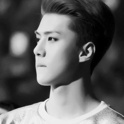 free follow, go follow @sehunslays