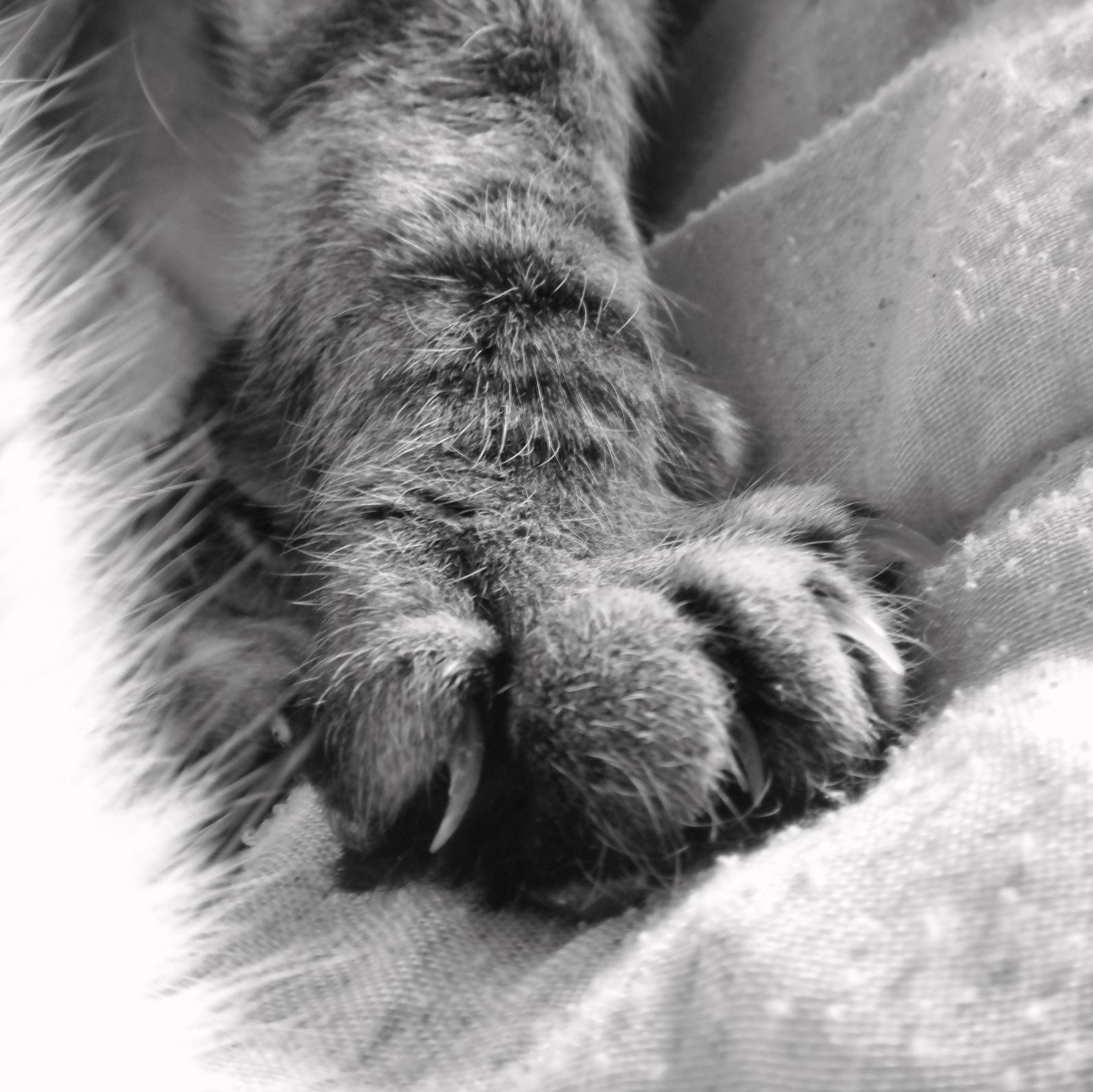 tjsaimable's profile picture. quand on s'attend au pire, on est jamais déçu    Monty Python