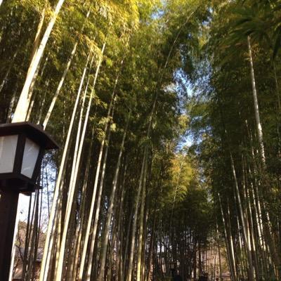 中等⇨北予備
受験生二年目。頑張る